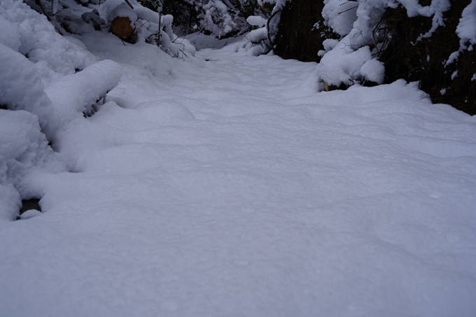 愛宕山_積雪_2022　No24