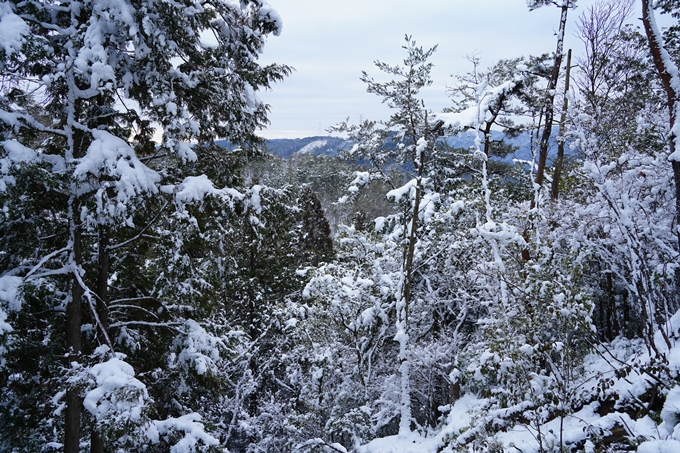 愛宕山_積雪_2022　No27