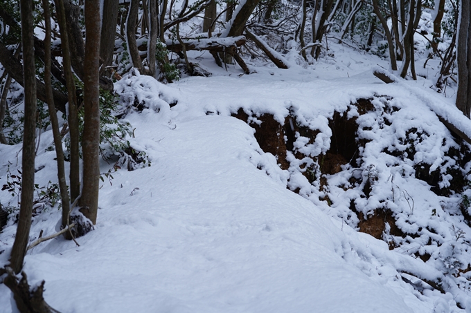 愛宕山_積雪_2022　No29