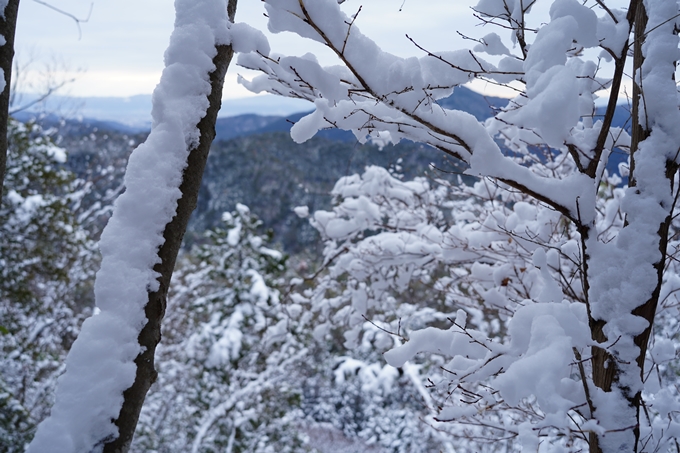 愛宕山_積雪_2022　No31