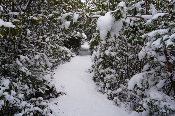 愛宕山_積雪_2022　No35