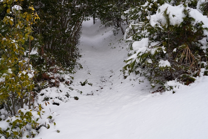 愛宕山_積雪_2022　No39