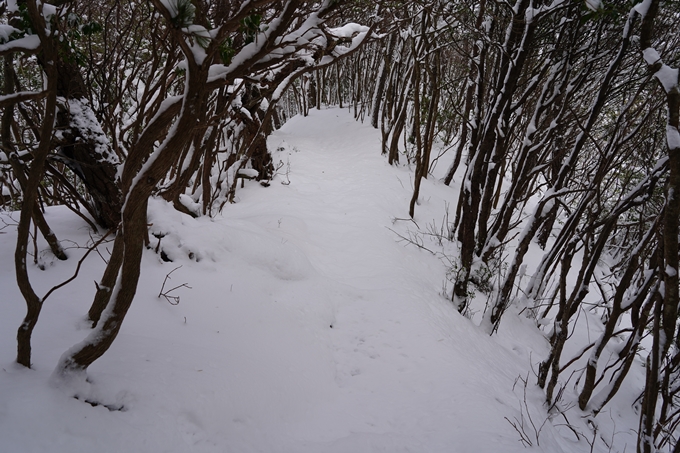 愛宕山_積雪_2022　No47