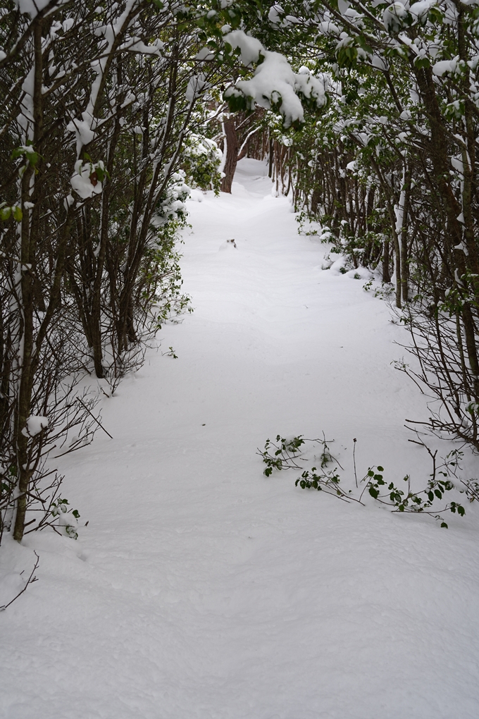 愛宕山_積雪_2022　No51