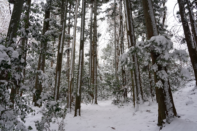 愛宕山_積雪_2022　No55