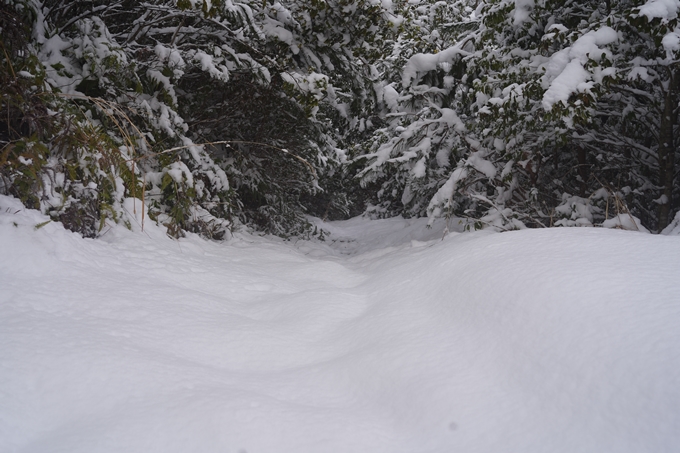 愛宕山_積雪_2022　No57