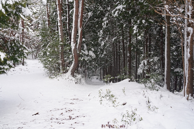 愛宕山_積雪_2022　No58