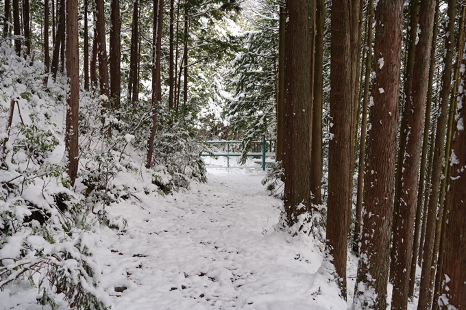 愛宕山_積雪_2022　No59