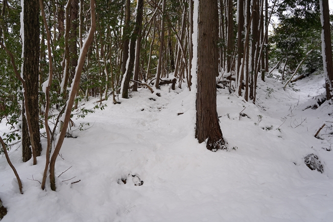 愛宕山_積雪_2022　No63