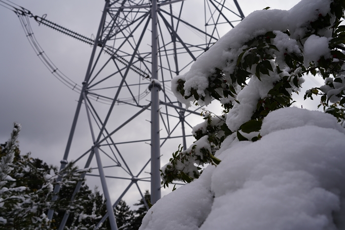 愛宕山_積雪_2022　No64