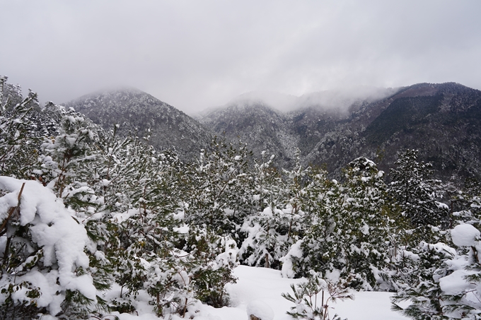 愛宕山_積雪_2022　No65