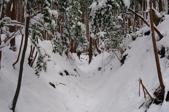 愛宕山_積雪_2022　No67