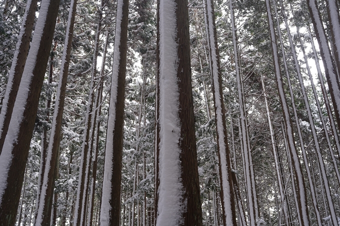 愛宕山_積雪_2022　No69