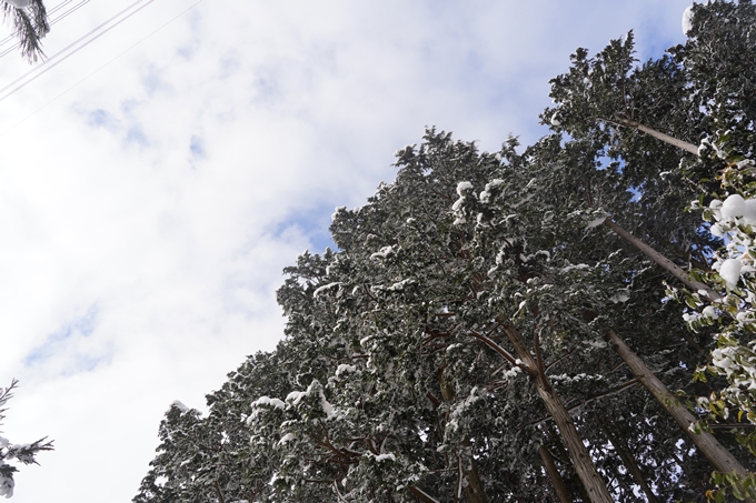 愛宕山_積雪_2022　No72