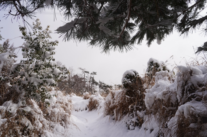 愛宕山_積雪_2022　No73