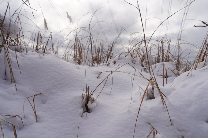 愛宕山_積雪_2022　No74