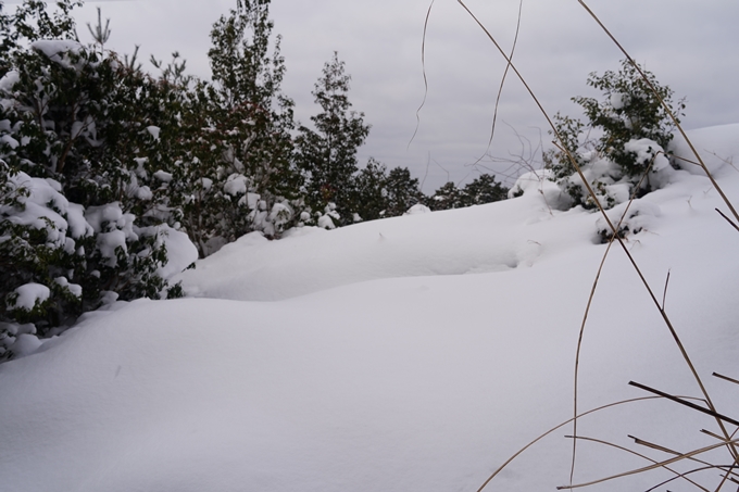 愛宕山_積雪_2022　No78