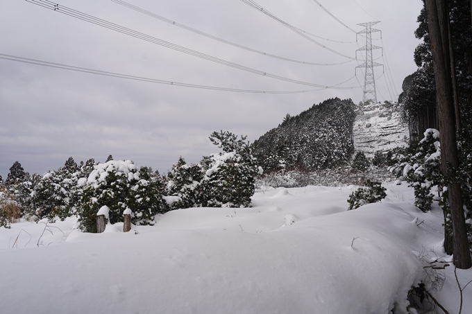 愛宕山_積雪_2022　No79