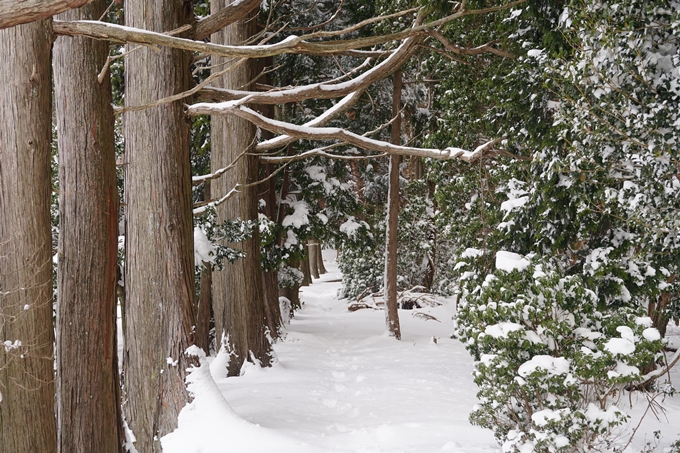 愛宕山_積雪_2022　No80