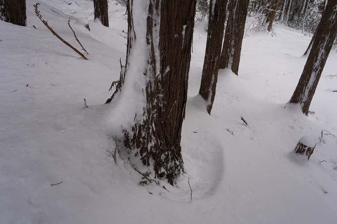 愛宕山_積雪_2022　No81