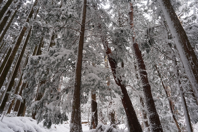 愛宕山_積雪_2022　No83