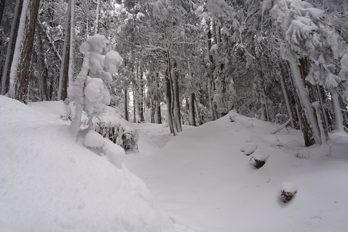 愛宕山_積雪_2022　No84