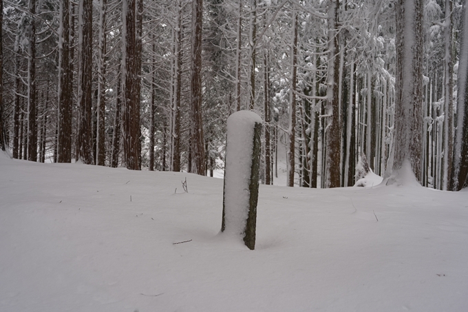 愛宕山_積雪_2022　No87