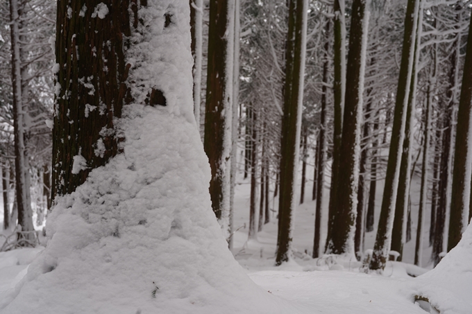 愛宕山_積雪_2022　No89