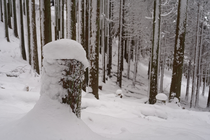 愛宕山_積雪_2022　No90