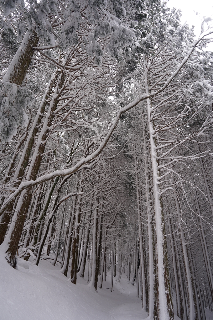 愛宕山_積雪_2022　No92