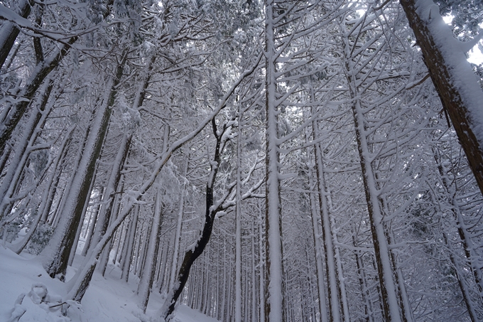 愛宕山_積雪_2022　No94