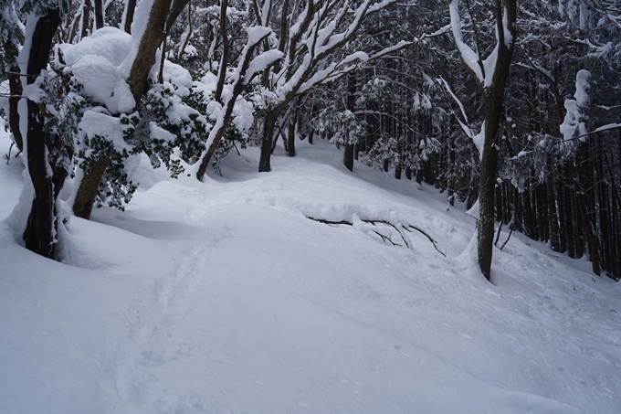 愛宕山_積雪_2022　No95