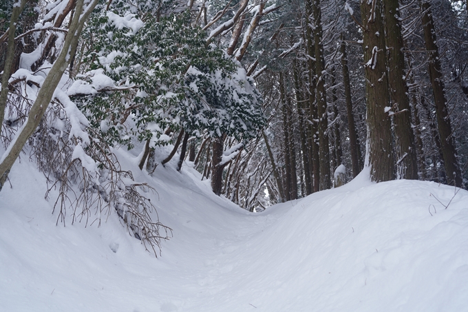 愛宕山_積雪_2022　No97