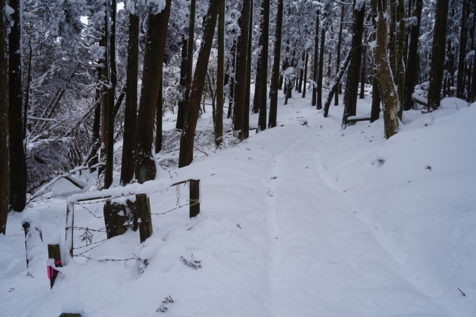 愛宕山_積雪_2022　No102