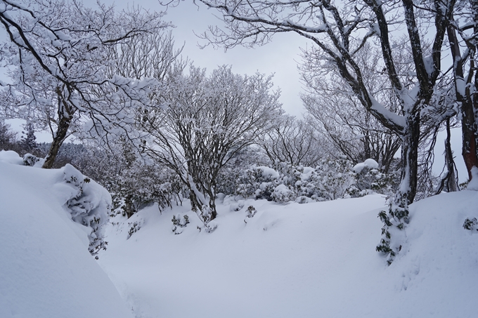 愛宕山_積雪_2022　No104