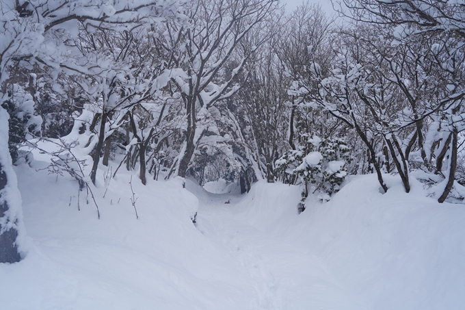 愛宕山_積雪_2022　No105