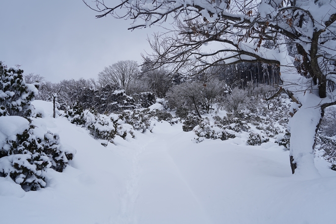 愛宕山_積雪_2022　No107