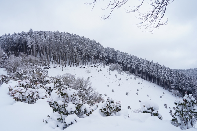 愛宕山_積雪_2022　No108