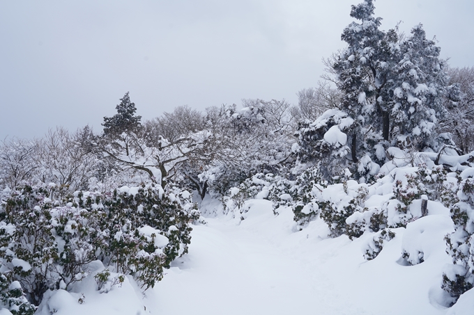 愛宕山_積雪_2022　No109