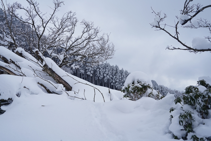 愛宕山_積雪_2022　No110