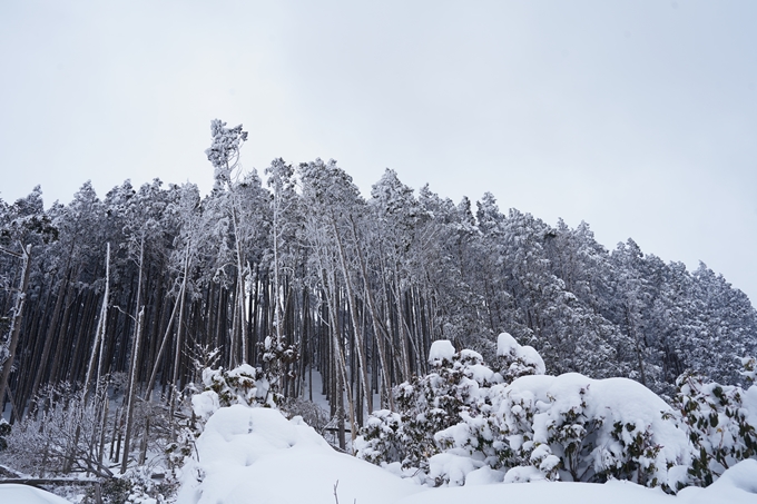 愛宕山_積雪_2022　No111