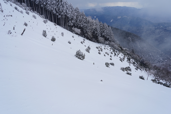 愛宕山_積雪_2022　No113