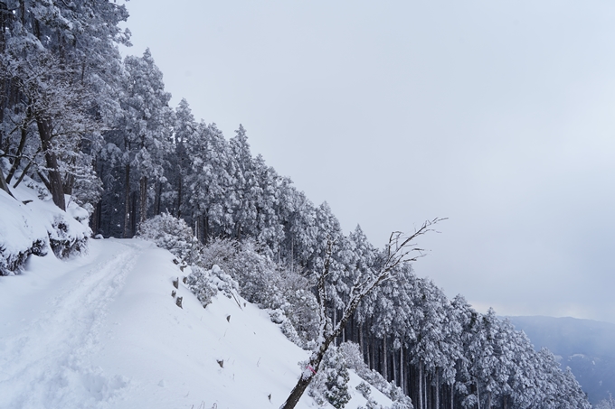 愛宕山_積雪_2022　No117