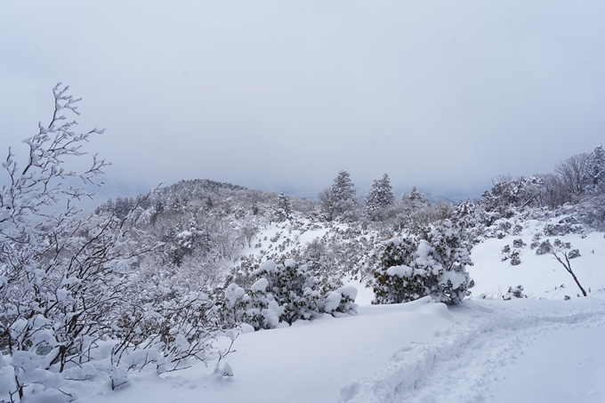 愛宕山_積雪_2022　No118