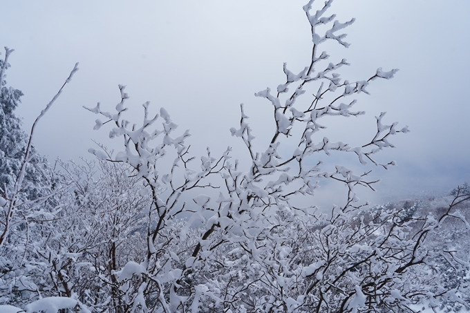 愛宕山_積雪_2022　No119