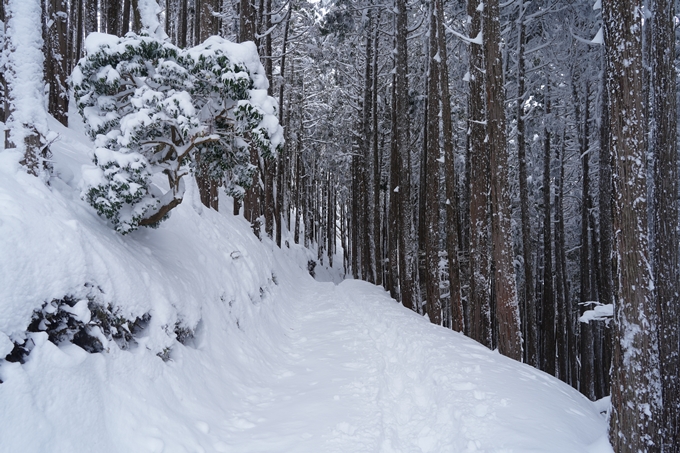 愛宕山_積雪_2022　No120