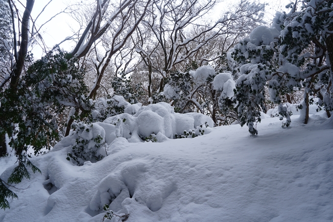 愛宕山_積雪_2022　No121