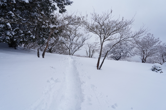 愛宕山_積雪_2022　No126