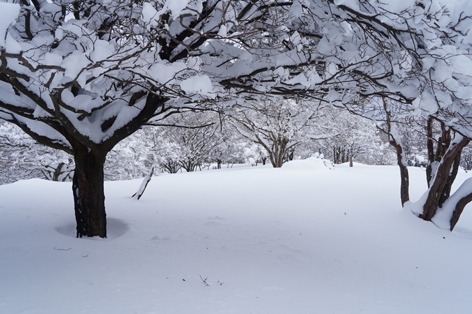 愛宕山_積雪_2022　No127