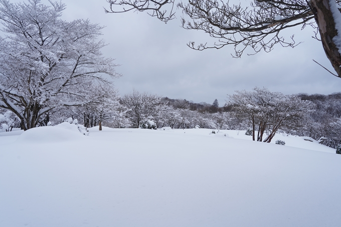 愛宕山_積雪_2022　No128